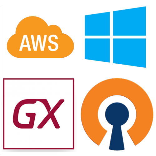 【GeneXus】AWSでプロテクション サーバー ～AWS EC2編～